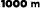 1000 m﻿