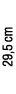 29,5 cm