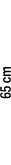 65 cm