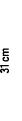 31 cm