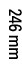 246 mm