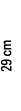29 cm