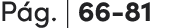 P g. | 66 81