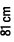 81 cm