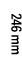 246 mm