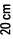 20 cm