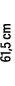 61,5 cm