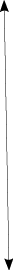GraphicLine