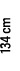 134 cm