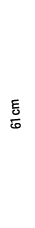 61 cm