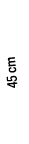 45 cm