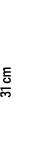 31 cm