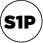 S1P