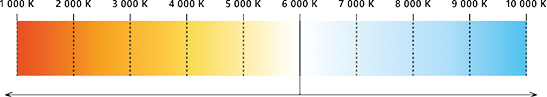 Rectangle