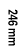 246 mm