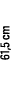 61,5 cm