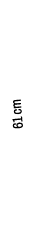 61 cm
