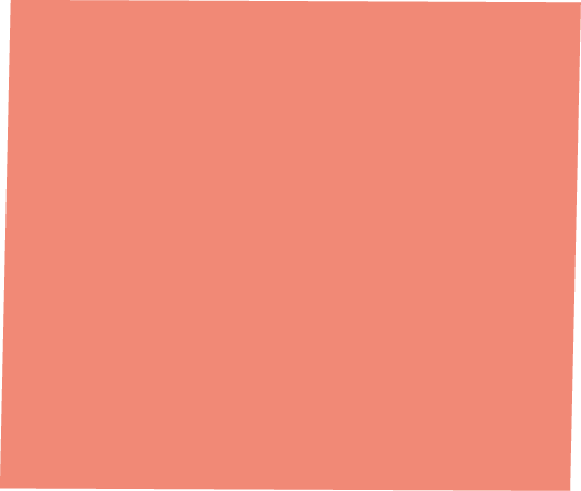 Polygon