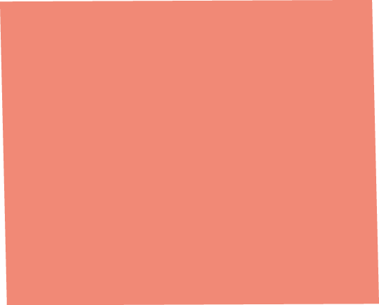 Polygon